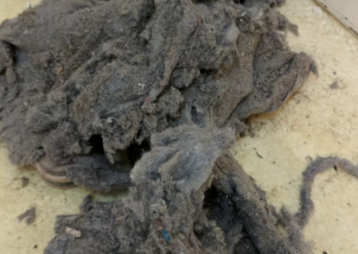 dryer lint