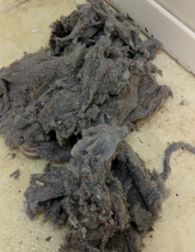 dryer lint